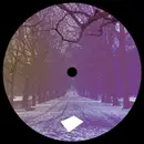 12inch Vinyl Single - David Meiser - Those Who Still Remain - Numbered, autographed