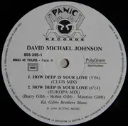 12inch Vinyl Single - David Michael Johnson - How Deep Is Your Love