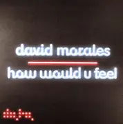 12inch Vinyl Single - David Morales - How Would U Feel