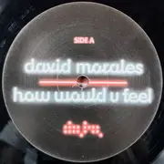 12inch Vinyl Single - David Morales - How Would U Feel