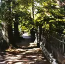 CD - David Munyon - Too Cool