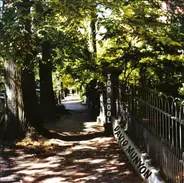 David Munyon - Too Cool