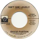 7inch Vinyl Single - David Parton - Isn't She Lovely