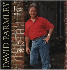 David Parmley - I Know a Good Thing