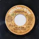 7inch Vinyl Single - David Patton - You Are Gone