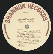 LP - David Pengelly - Everyday Dream - Signed