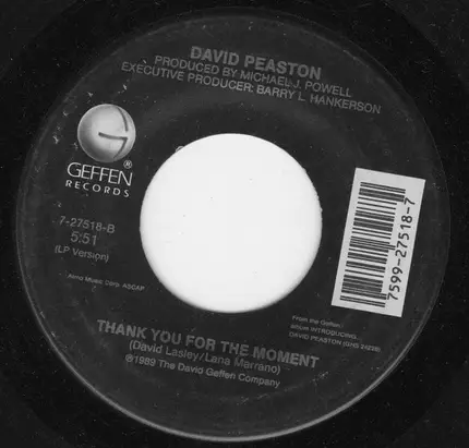 David Peaston - two wrongs (don't make it right)