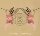CD - David Philips - If I Had Wings - Digipak