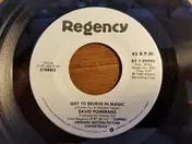David Pomeranz - Got To Believe In Magic