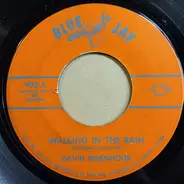 David Ridenhour - Walking In The Rain/ Neon Signs And Honky Tonks