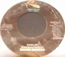 7inch Vinyl Single - David Rogers - Darlin' / How Long Has It Been