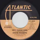 7inch Vinyl Single - David Rogers - Hey There Girl / Someone That I Can Forget