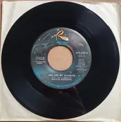David Rogers - You Are My Rainbow / If You Should Ask