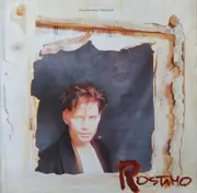 12inch Vinyl Single - David Rostamo - Slum Lord