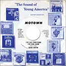 7inch Vinyl Single - David Ruffin - I've Lost Everything I've Ever Loved
