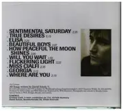 CD - David Schulz - True Desires