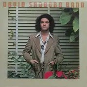 LP - David Sanborn Band - Promise Me The Moon