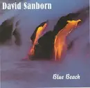 CD - David Sanborn - Blue Beach