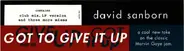 David Sanborn - Got To Give It Up