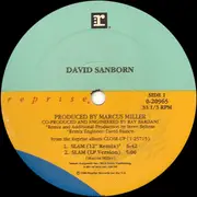 12'' - David Sanborn - Slam