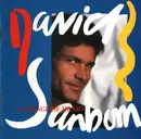CD - David Sanborn - A Change Of Heart