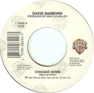 David Sanborn - Chicago Song