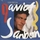 7inch Vinyl Single - David Sanborn - The Dream