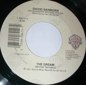 David Sanborn - The Dream