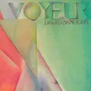 LP - David Sanborn - Voyeur