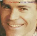 7inch Vinyl Single - David Sanborn - You Are Everything