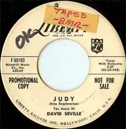 David Seville - Judy
