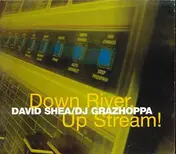 David Shea - Down River Up Stream!