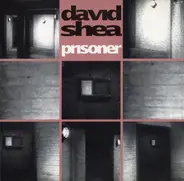 David Shea - Prisoner