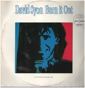 12inch Vinyl Single - David Sion - Burn It Out