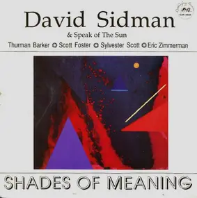 David Sidman & Speak Of The Sun - Shades Of Meaning