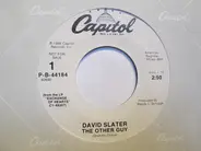 David Slater - The Other Guy