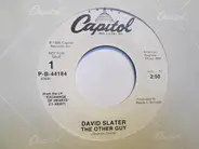 David Slater - The Other Guy