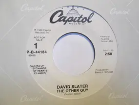 david slater - The Other Guy