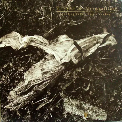 David Sylvian + Holger Czukay - Plight & Premonition
