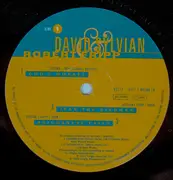 Double LP - David Sylvian & Robert Fripp - The First Day