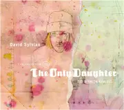 CD - David Sylvian - The Good Son Vs. The Only Daughter - The Blemish Remixes