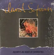 Not On Label (David Sylvian)