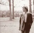 CD - David Sylvian - Brilliant Trees