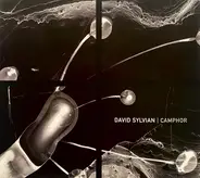 David Sylvian - Camphor