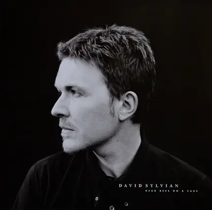 David Sylvian - Dead Bees on a Cake