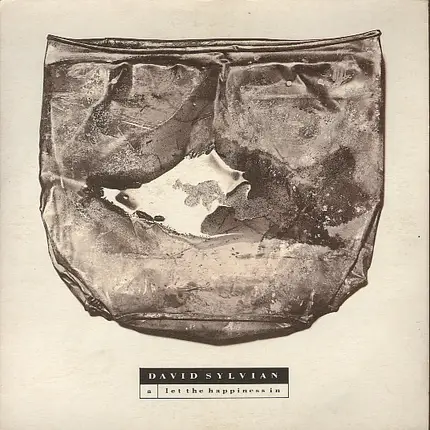 David Sylvian - Let The Happiness In