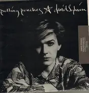 David Sylvian - Pulling Punches