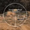 CD - David Nesselhauf - The Barrow