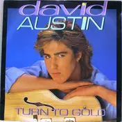 David Austin - Turn To Gold