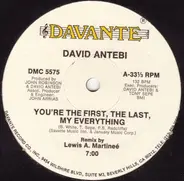 David Antebi - You're The First, The Last, My Everything